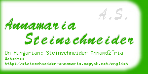 annamaria steinschneider business card